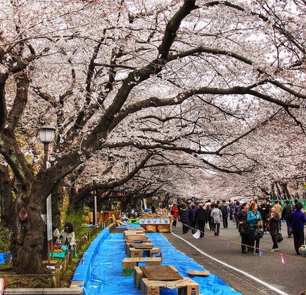 Hiokayama Park 1