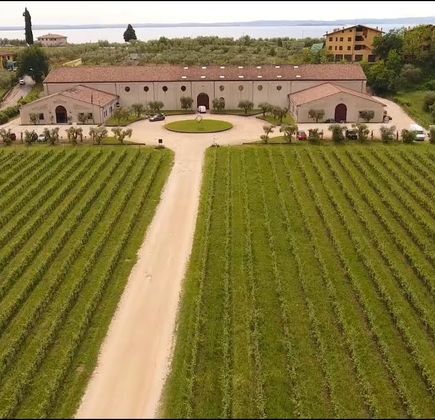 Azienda Agricola Mario Torelli 1