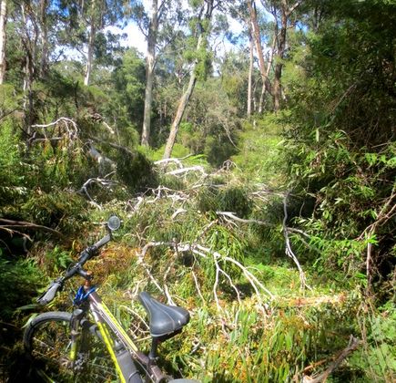 Gippsland Lakes Discovery Trail 1