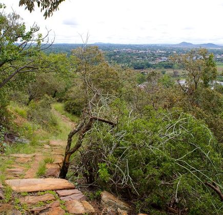 Longwan National Nature Reserve 1