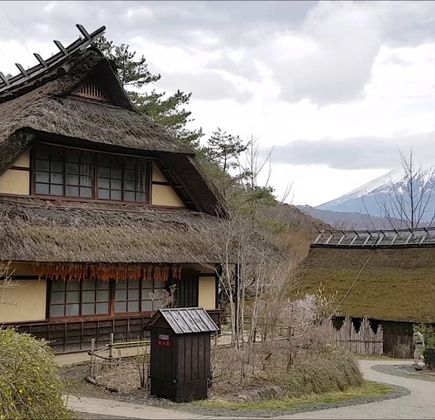 Tonose Fuji no Sato 1