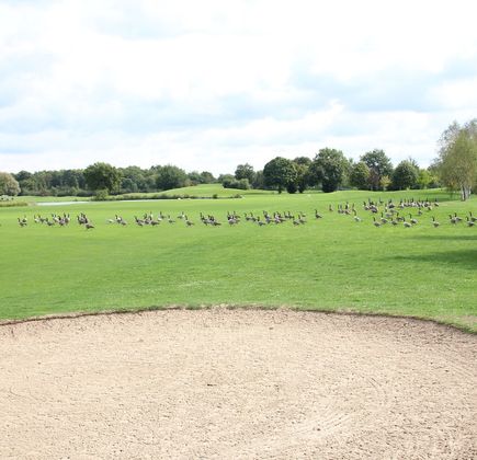 Golf d'Etiolles 1
