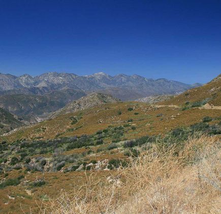 San Bernardino National Forest 1