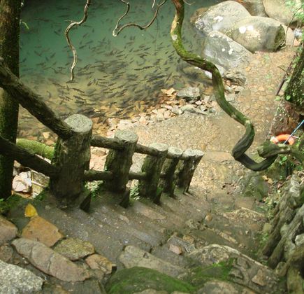 Namtok Phlio National Park 1