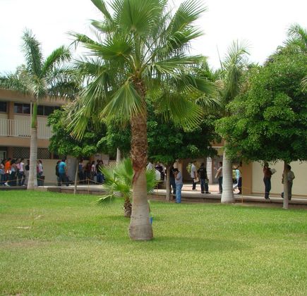 Parque Infantil de Navojoa 1
