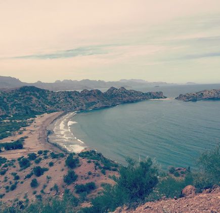 Sea of Cortez 1
