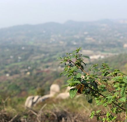 Swamimalai Hills 1
