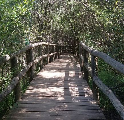 Parque Nacional de Cabañeros 1
