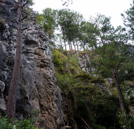 Echo Valley 1