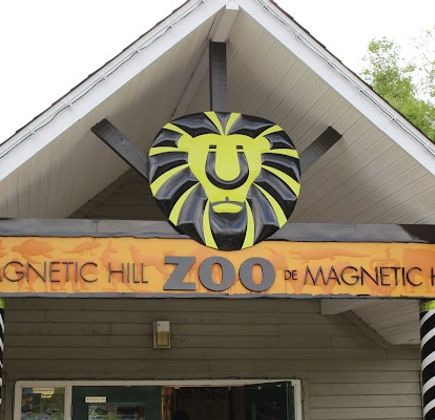 Magnetic Hill Zoo 1