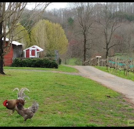 Crane Creek Vineyards 1