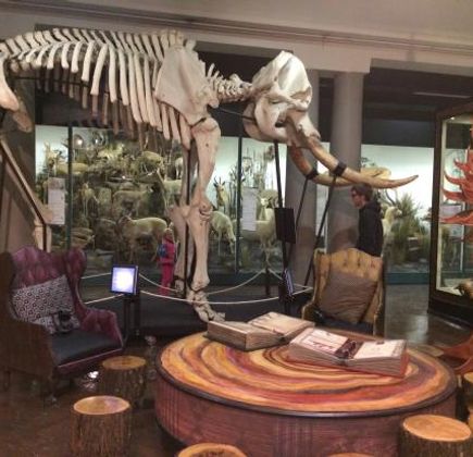 KwaZulu-Natal Museum 1