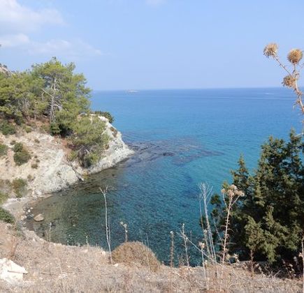 Adonis Nature Trail 1