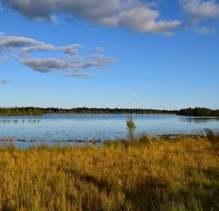 Koigi Bog Trail 1