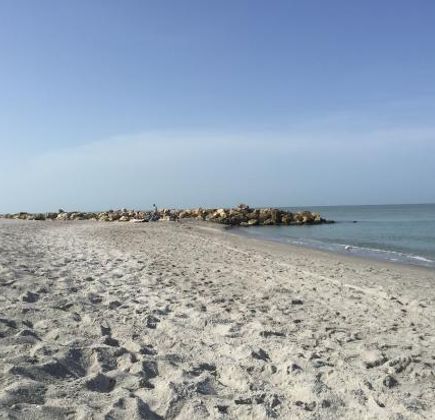 Turner Beach 1