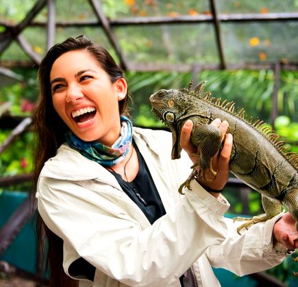 Green Iguana Conservation Project 1