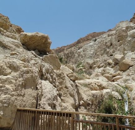 Ein Gedi Eco Center 1