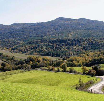 Riserva naturale Les Grangettes 1