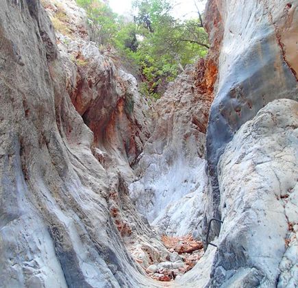 Kritsa Gorge 1