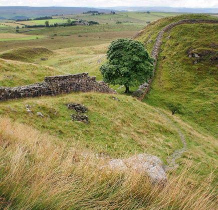 Sycamore Gap 1