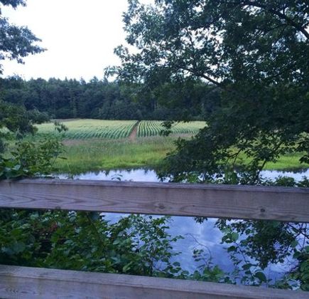 Nashua River Rail Trail 1