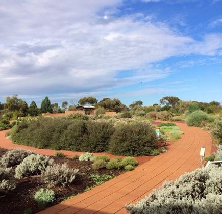 Australian Arid Lands Botanic Garden 1