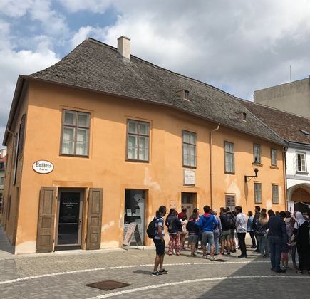 Beethovenhaus Baden 1