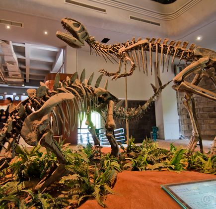 Zigong Dinosaur Museum 1