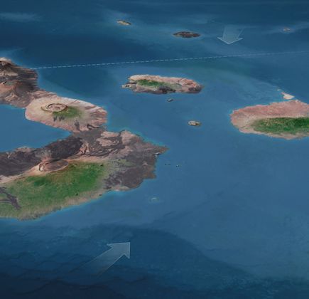 Darwin & Wolf Islands 1