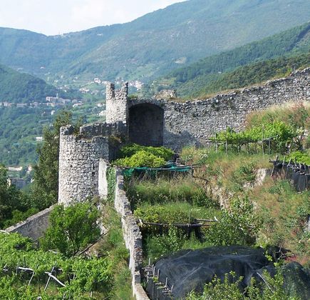 Il Castello di San Nicola L'Arena 1