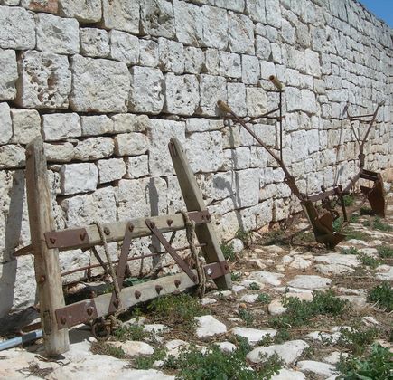 Centro di Documentazione Archeologica 1
