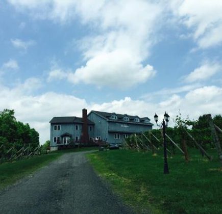 Connecticut Valley Winery 1