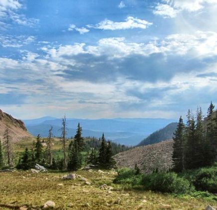 State Forest State Park 1