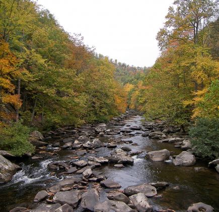 Cherokee National Forest 1
