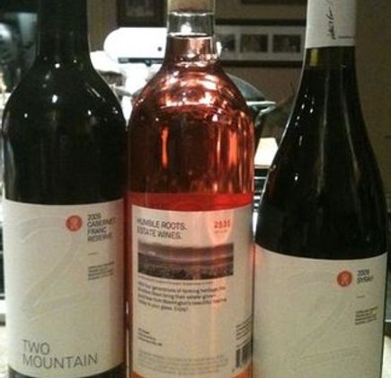 Two Mountain Winery 1