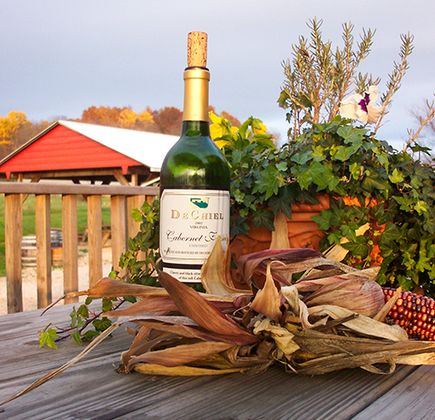 Rockbridge Vineyard 1