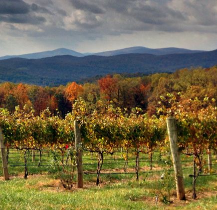 Fox Meadow Winery 1