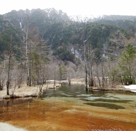 Pond Tashiro 1
