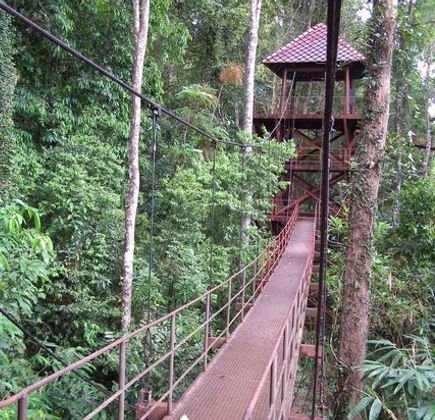 Thung Khai Botanical Garden 1