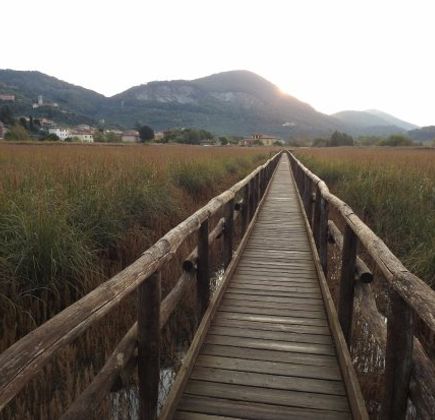 Oasi Massaciuccoli 1