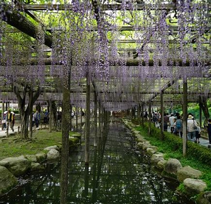 Tenno River Park 1