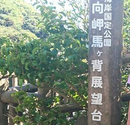 Hyugasaki Umagase 1