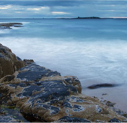 Farne Islands 1