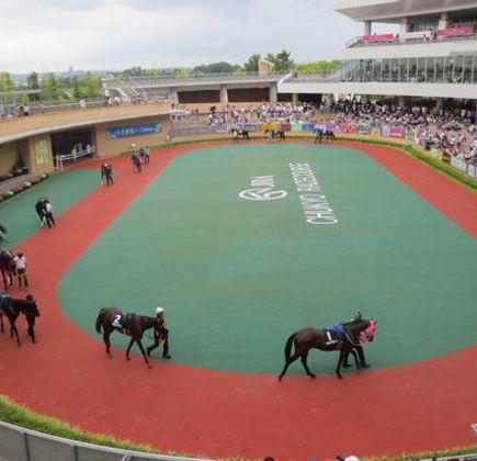 Chukyo Horse Race Track 1