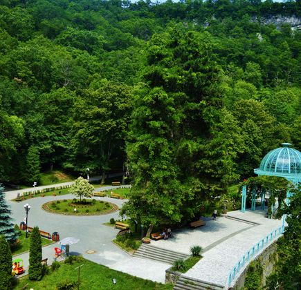 Borjomi Central Park 1
