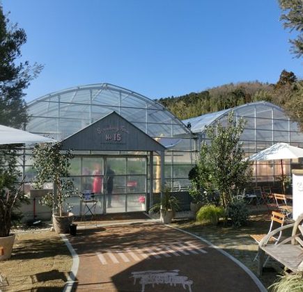 the Farm UNIVERSAL osaka 1