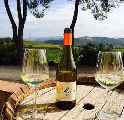 Fattoria il Palagio 1