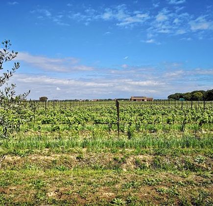 Azienda Agricola Villanoviana 1