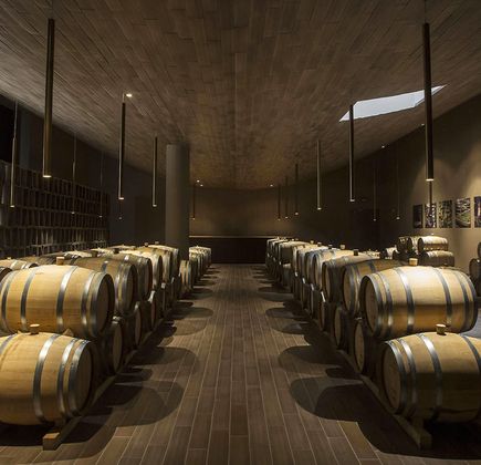 Antinori nel Chianti Classico 1