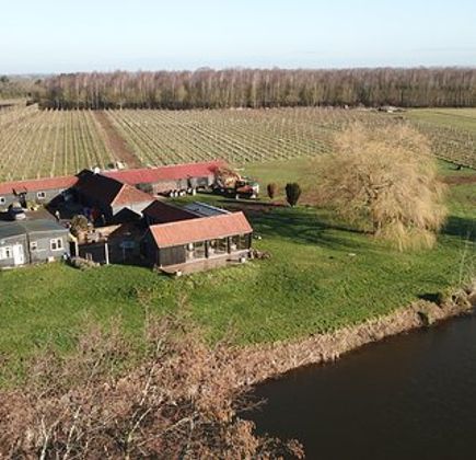 Dedham Vale Vineyard - Winery And Estate 1